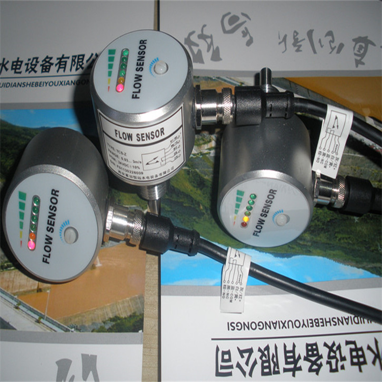 热导式流量开关tcs.jpg